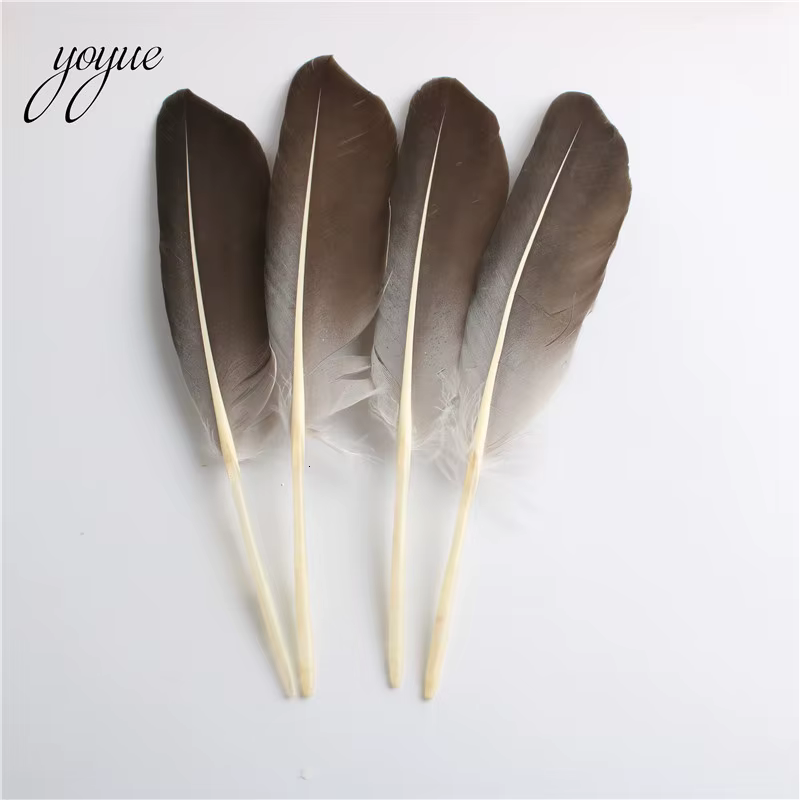 Nouveau 10 pièces/lot plume d'oie naturelle 12-14 pouces/30-35cm plumes pour artisanat Plume vêtemen