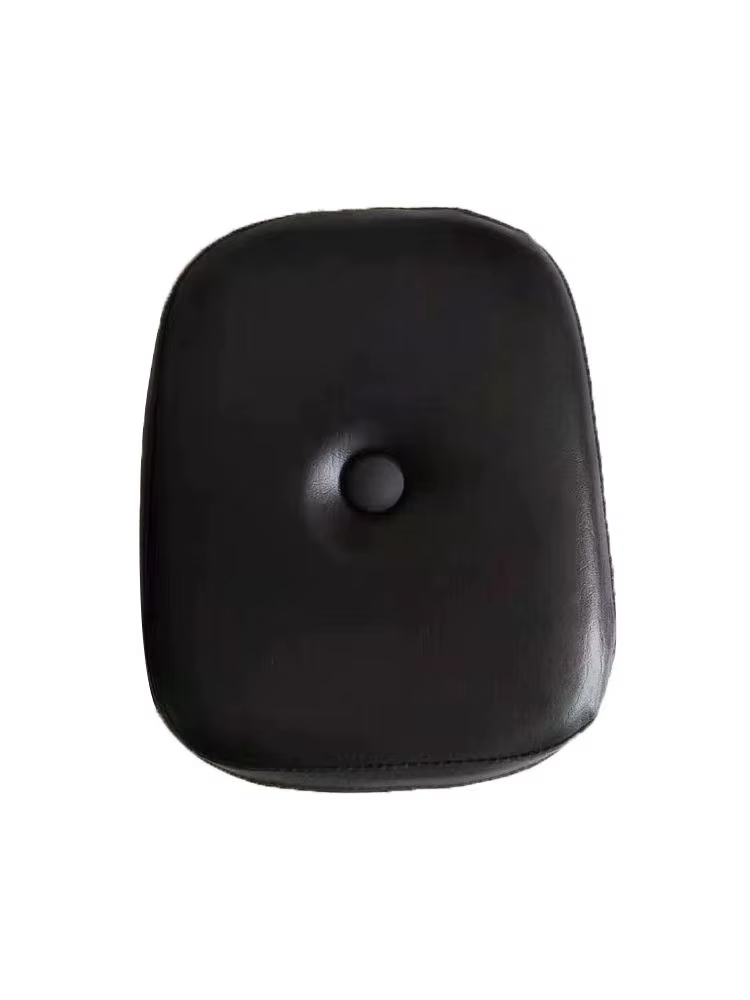 Dossier de passager arrière pour MP S Regal Raptor, accessoires de moto, nouveau, 125, 125