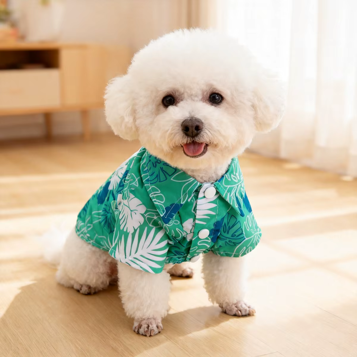 Chemise à fleurs pour chat, en laine antistatique légère pour le printemps et l'été, dégradé bleu pe