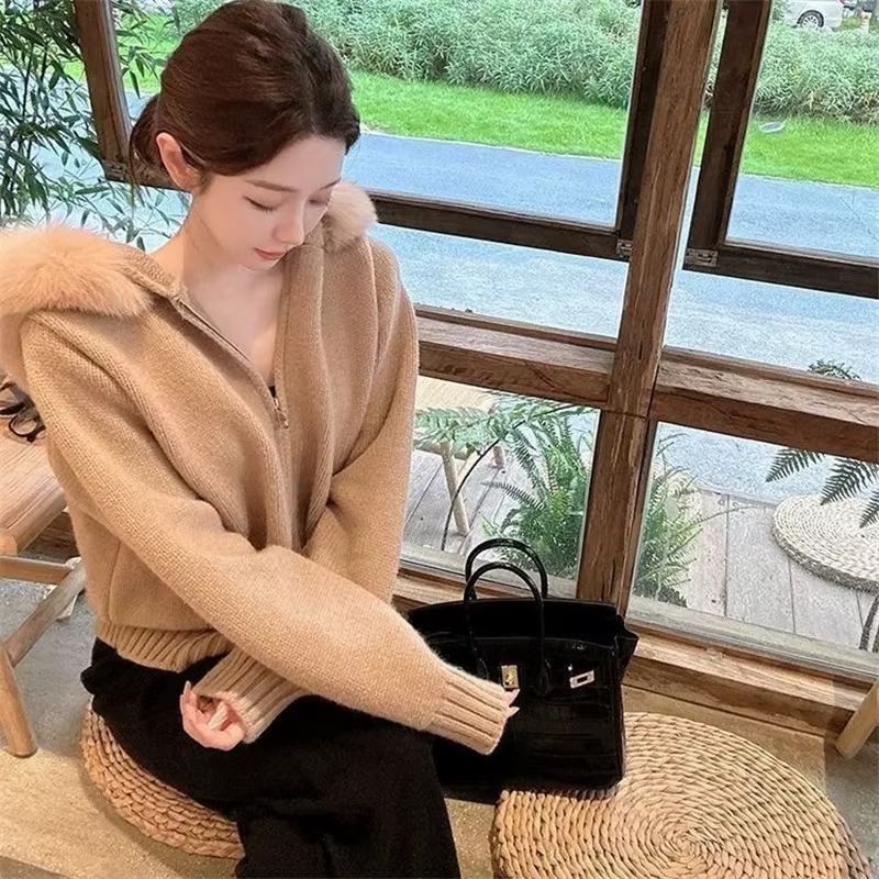 Atmosphère paresseux Style grand col de fourrure à capuche extérieur pull veste femmes automne et hi