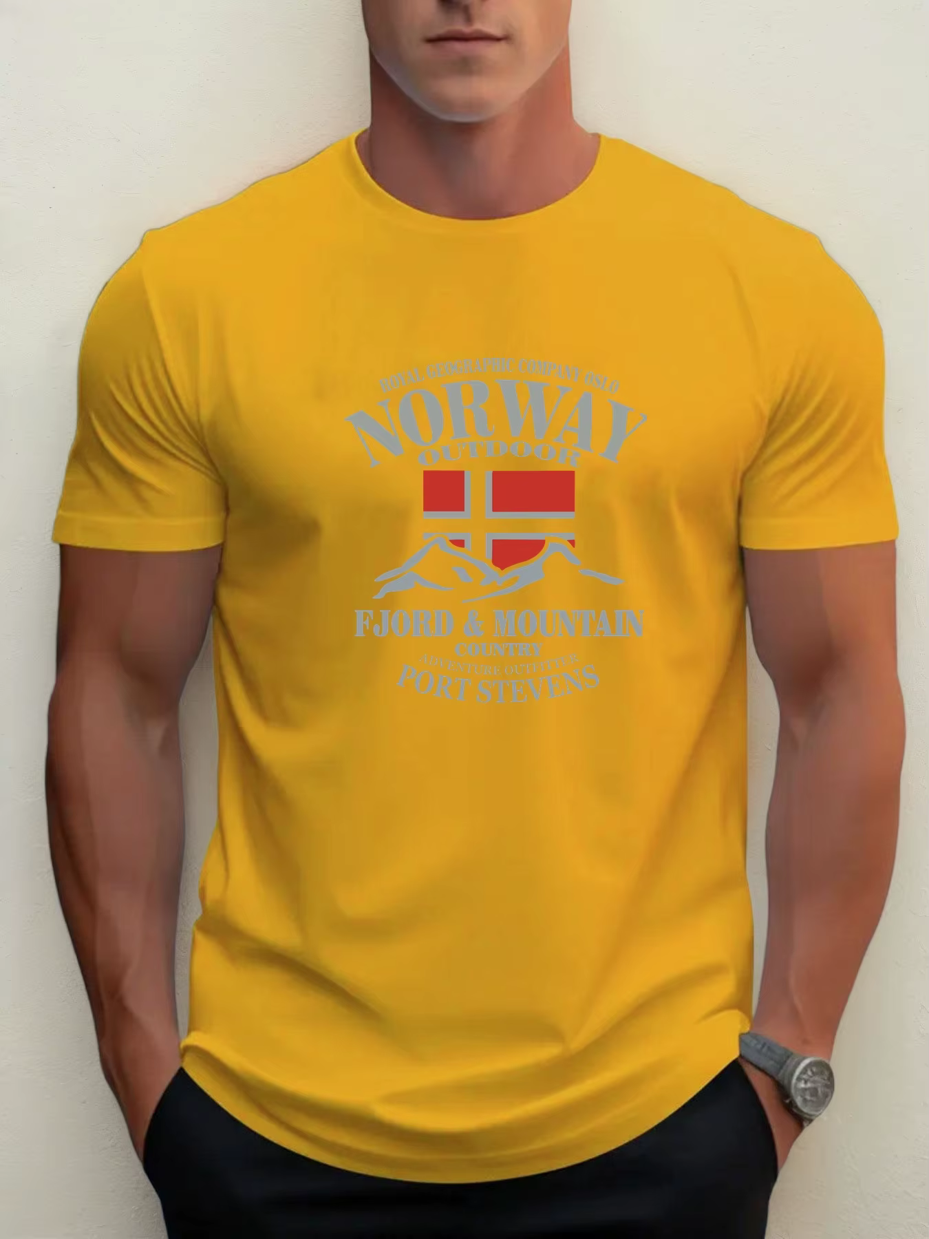 Drapeau norvégien imprimé 100% coton à la mode hommes femmes T-shirt été automne quotidien Sports de