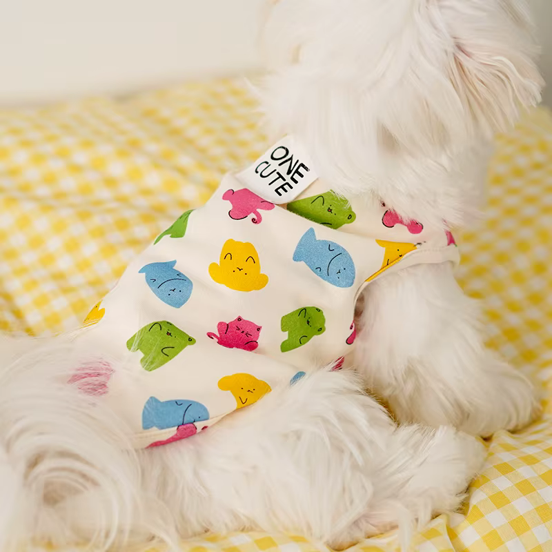 Vêtements pour chatons, accessoires pour chats, articles pour petits chatons, vêtements rafraîchissa