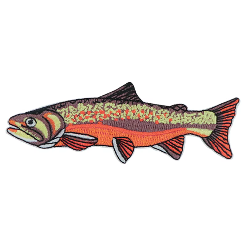 Patch brodé de poisson d'eau douce, truite colorée, fer sur Badge inspirant, cadeau pour vêtements, 