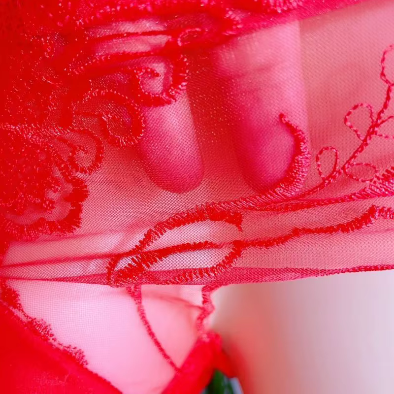 Sissy DJ Club Bar slips BF cadeau de fête, sous-vêtements doux en dentelle pour hommes sexy broderie