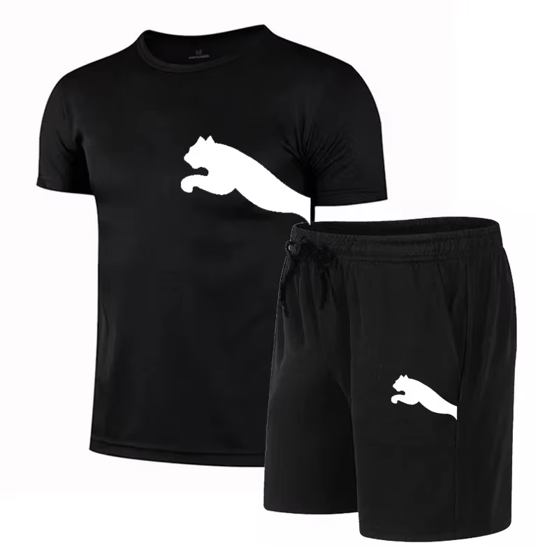 Ensemble de vêtements de sport pour hommes, t-shirt à manches courtes, pull décontracté pour le bask