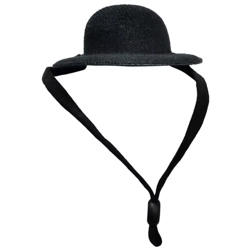 Chapeau Jetable pour Poules, Petits Animaux de Compagnie, Accessoires Amusants, Haut-de-Forme pour C