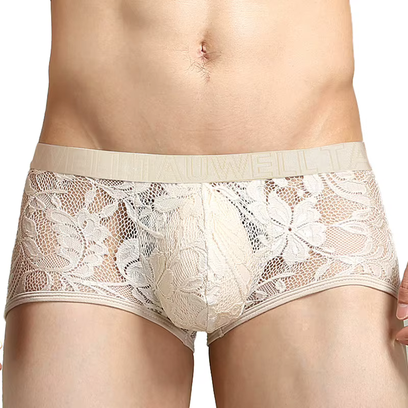 Tawell boxeurs pour hommes à la mode sexy slips en dentelle U poche convexe appartements sous-vêteme