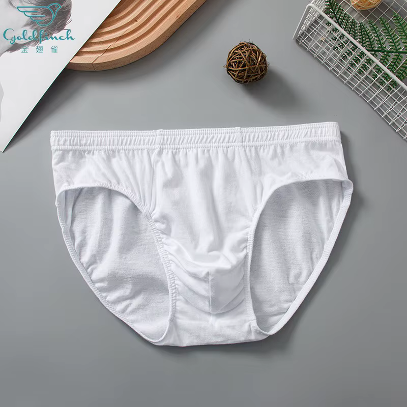 Sous-vêtements pour hommes, slip Triangle en pur coton blanc, Simple, confortable, respirant