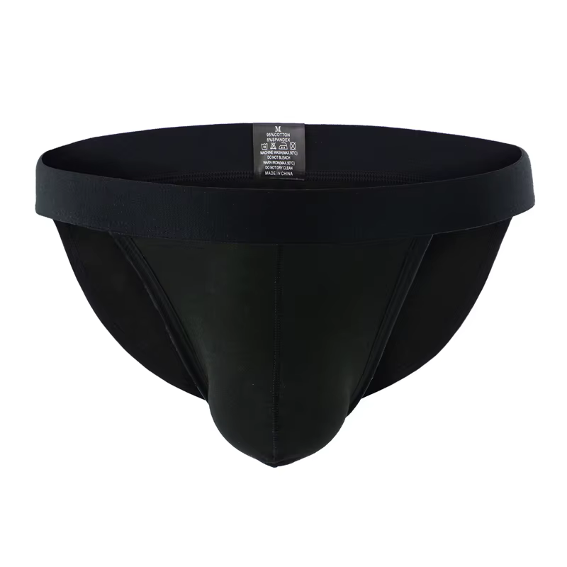 Sous-vêtements Sexy hommes slips Shorts Homme coton caleçon Homme U poche convexe taille basse culot