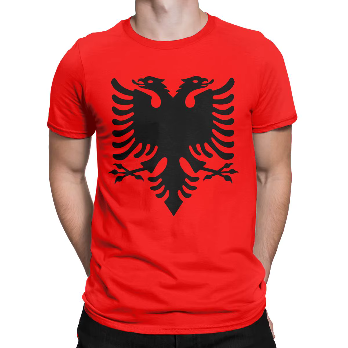T-shirt manches courtes col rond homme, 100% coton, JA ian Feel Tale Of The Eagle Fashion, vêtements