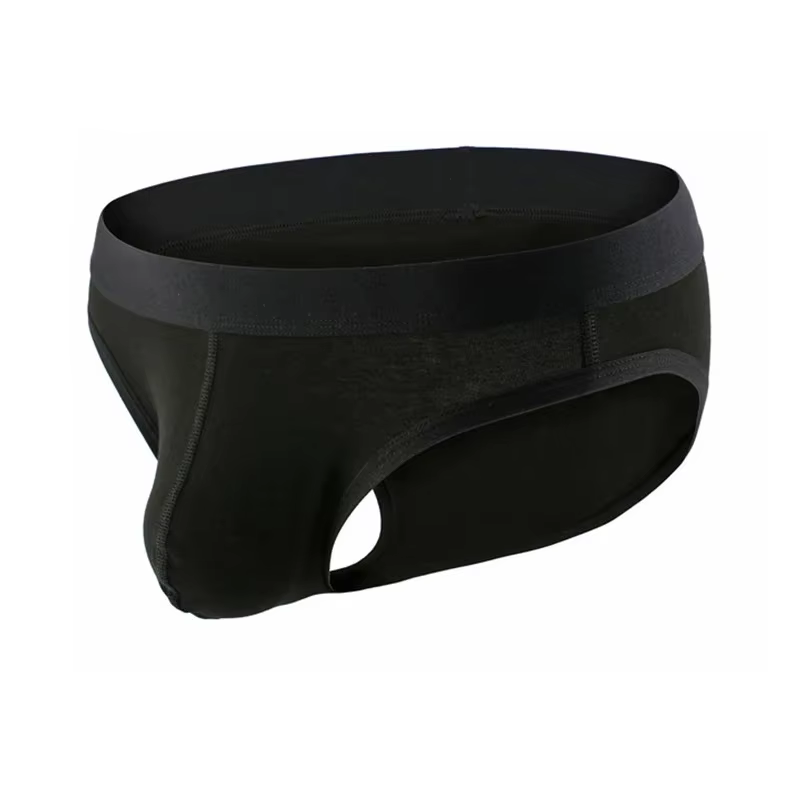 Sous-vêtements Sexy pour hommes, slips en coton, taille basse, culottes respirantes, pochette convex