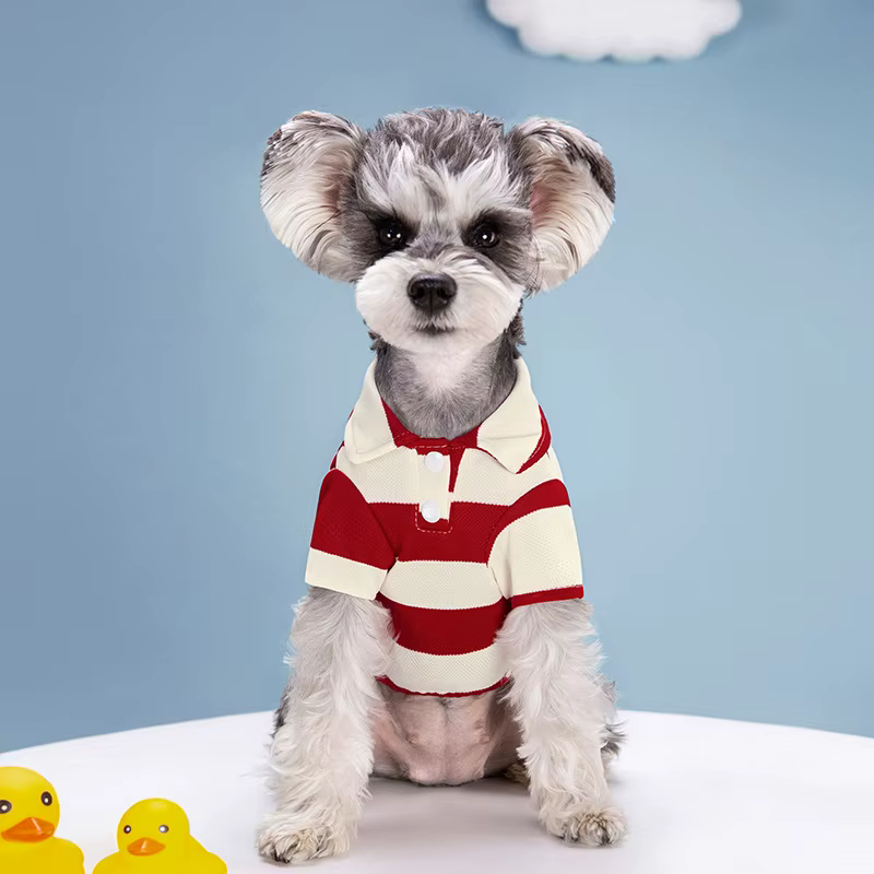 Polo pour chien, vêtements d'été pour chien, vêtements décontractés pour petits et grands chiens, ch
