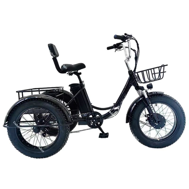 Vélo Électrique Pliant à 3 Roues pour Homme Adulte, Tricycle Cargo avec mir, 48V, 500W, Haute Qualit