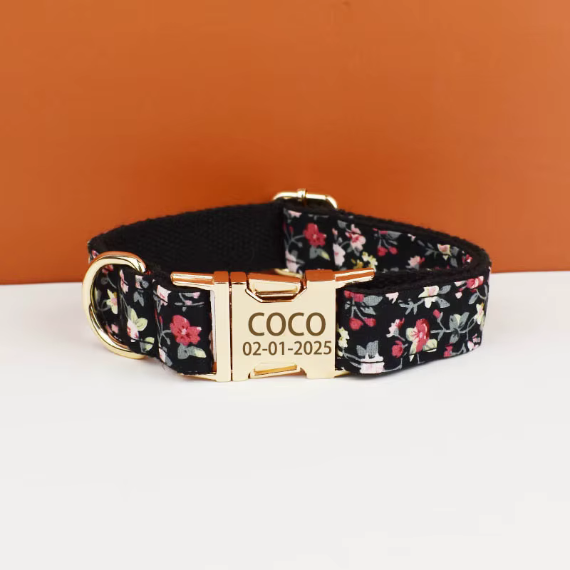 Colliers tactiques de luxe personnalisés pour chiens, accessoires pour animaux de compagnie, produit